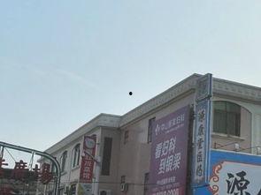 鸿埠园最新爆料新闻视频